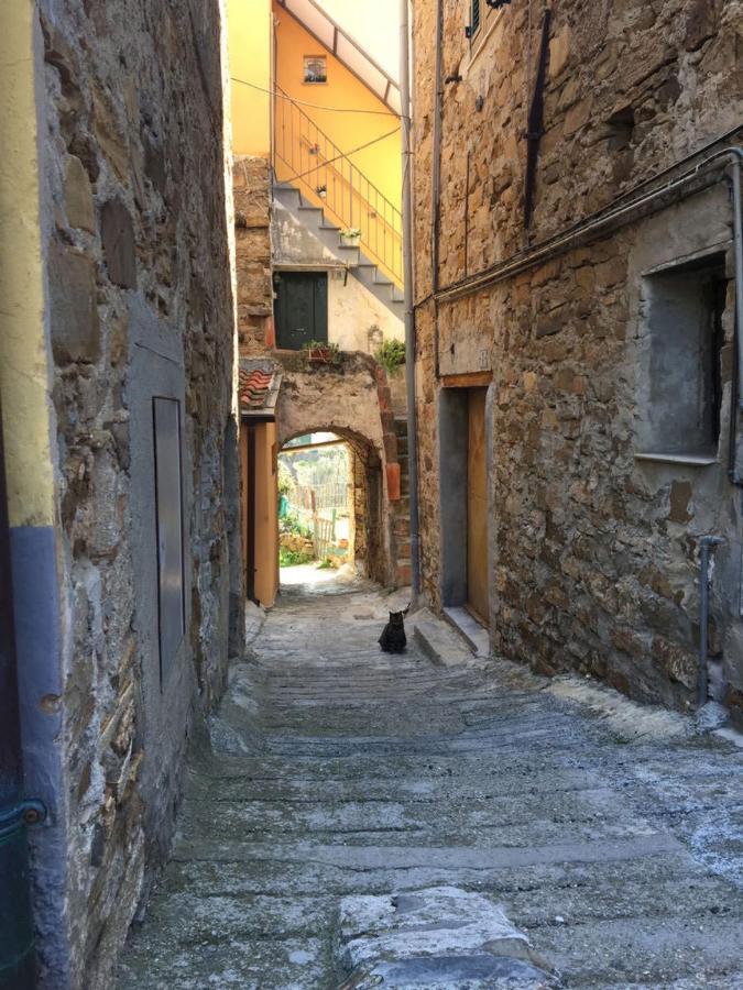 Il Sole Di Poggi