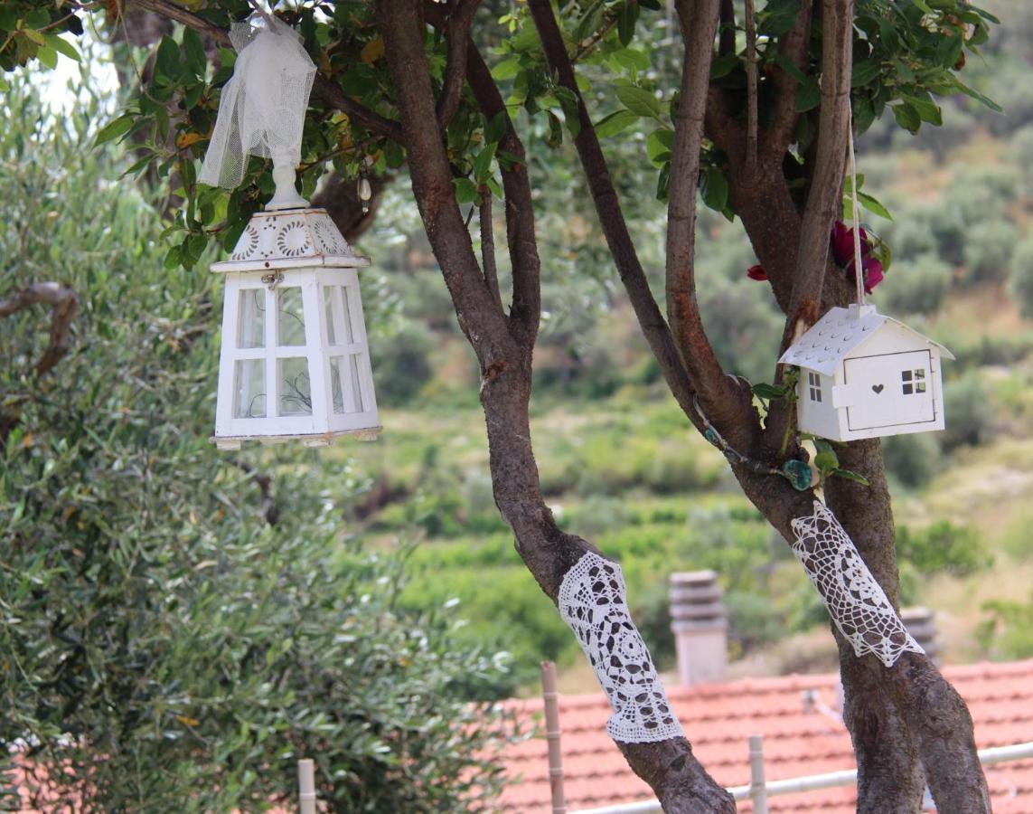 Il Sole Di Poggi Bed & Breakfast Imperia